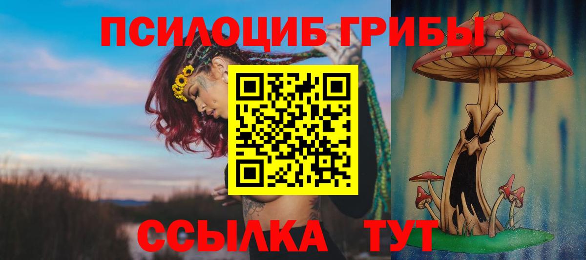 Южно-Сахалинск  Псилоцибиновые грибы Psilocybine cubensis  Вход с VPN 